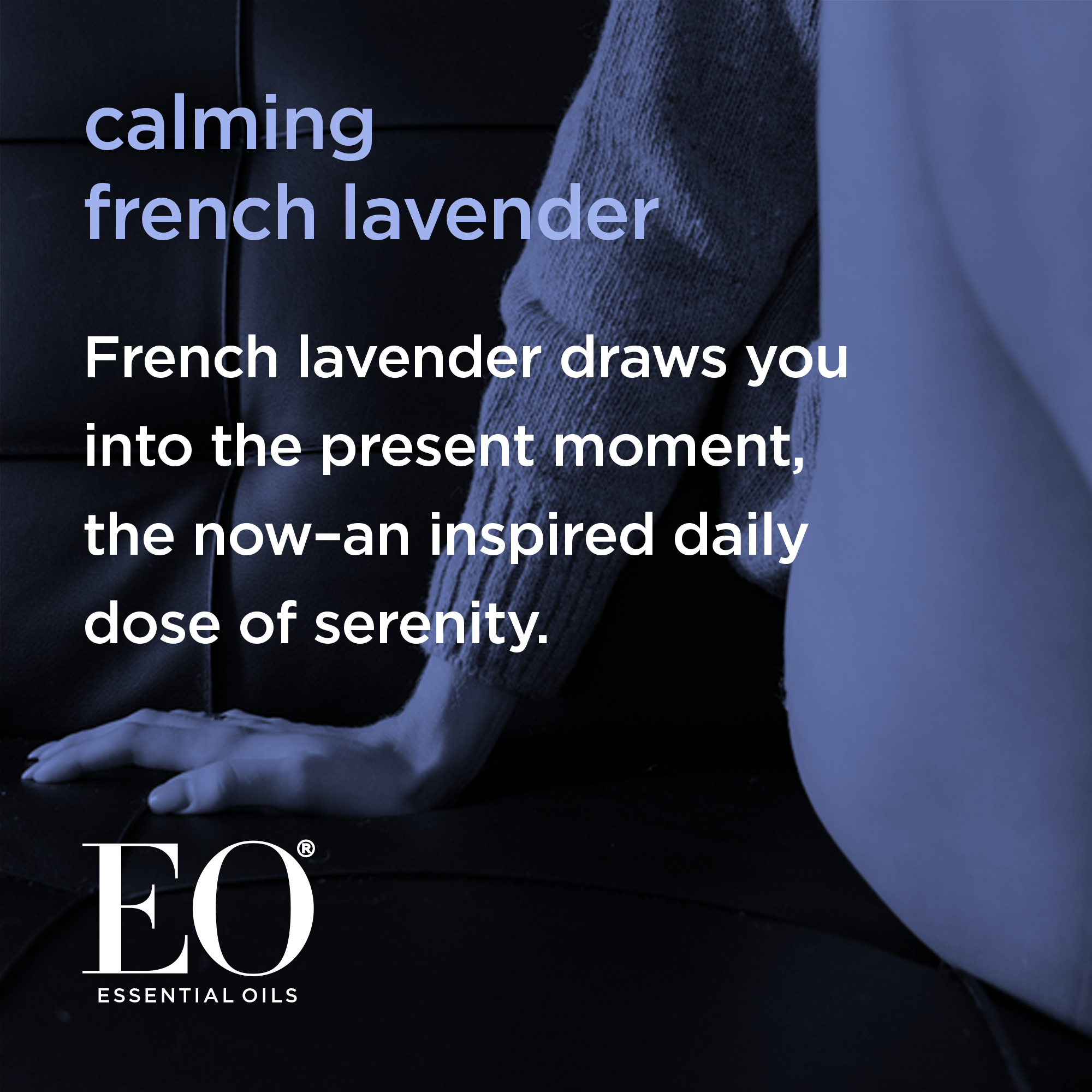 EO Body Oil, French Lavender - 8 fl oz